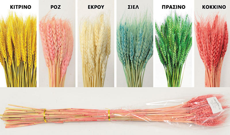 WHEAT 70cm 0516155