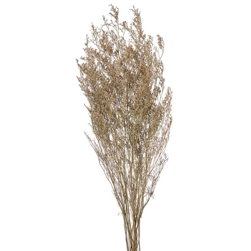 ΑΠΟΞΗΡΑΜΕΝΟ LIMONIUM ΛΕΥΚΟ ΡΤ160