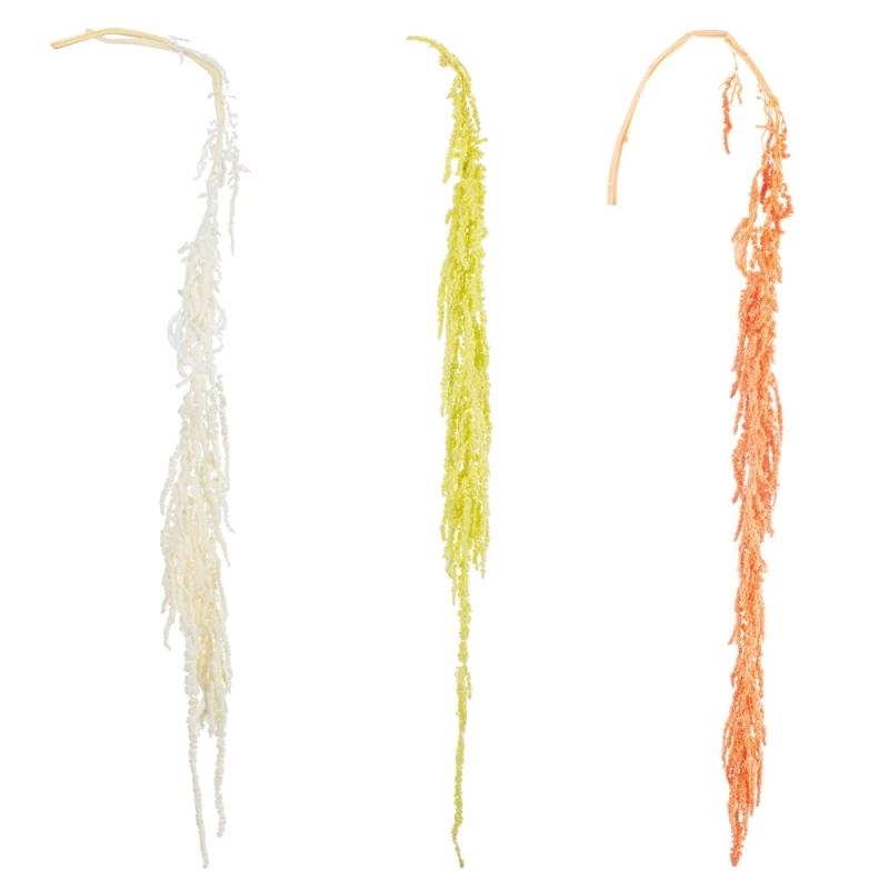 Αποξηραμένο HANGING RICE ΡΤ193