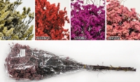 CRYSTAL FLOWER 60cm 0516174
