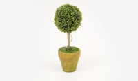 ΓΛΑΣΤΡΑΚΙ ΚΟΡΜΟΣ ΠΥΞΑΡΙ 21cm x 8cm ST12-T320 0532021