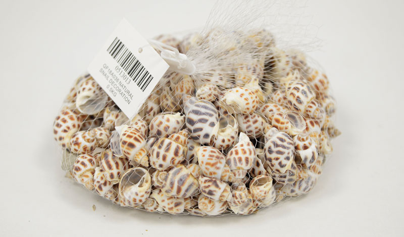 ΔΙΑΚΟΣΜΗΤΙΚΑ ΚΟΧΥΛΙΑ Νο13 QF18A036 0.5kg 0513013