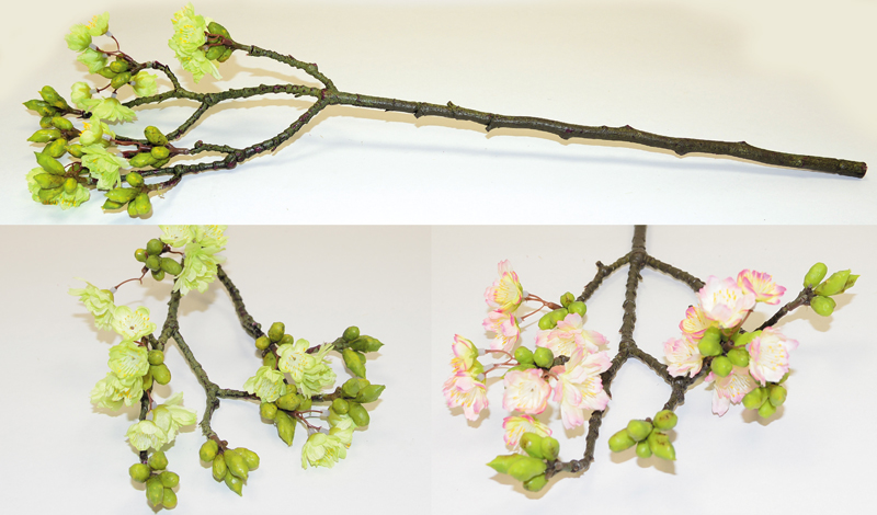 ΑΜΥΓΔΑΛΙΑ ΚΟΤΣΑΝΙ ΜΕΓΑΛΟ 0516084