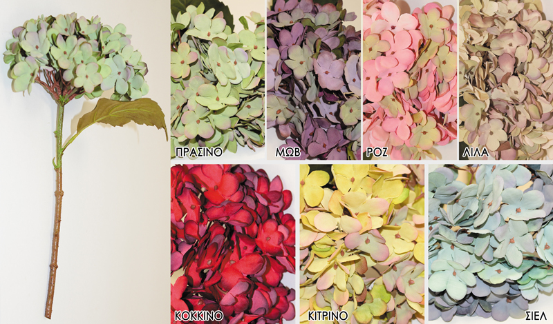 ΟΡΤΑΝΣΙΑ ΜΙΚΡΗ 0516085