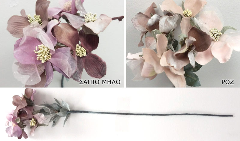 ΕΛΛΕΒΟΡΟΣ SDBF18123 0516094