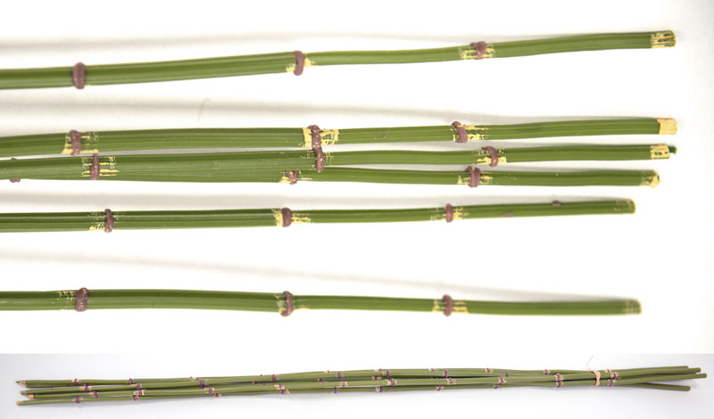 ΜΠΑΜΠΟΥ ΣΕΤ/6 90cm 0516117