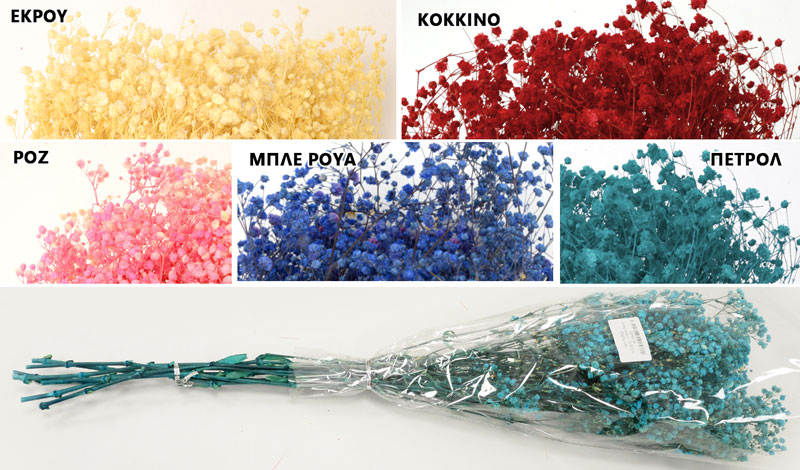 BABY BREATH 70cm 0516154