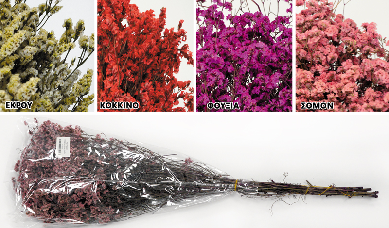 CRYSTAL FLOWER 60cm 0516174