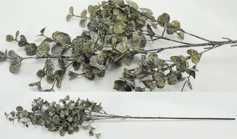 ΕΥΚΑΛΥΠΤΟΣ VINTAGE 0516191