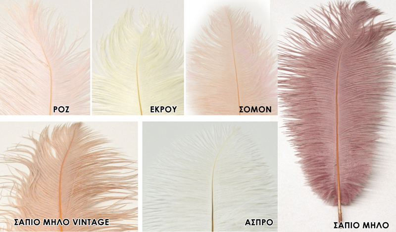 ΦΤΕΡΟ ΣΤΡΟΥΘΟΚΑΜΗΛΟΥ 45cm - 50cm 0517982