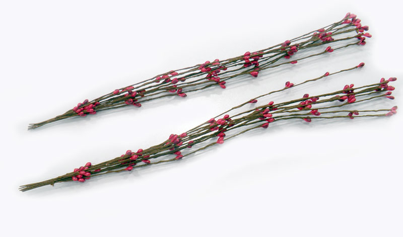 ΚΛΑΔΙ ΜΕ ΚΟΚΚΙΝΑ ΣΠΟΡΑΚΙΑ 0520088