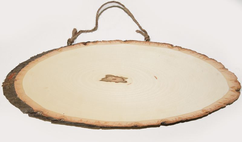 ΠΙΝΑΚΙΔΑ ΚΟΡΜΟΣ ΟΒΑΛ 38cm x 15cm 0520124