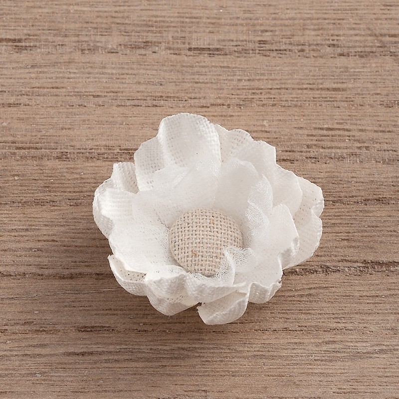 11038___20207.jpg