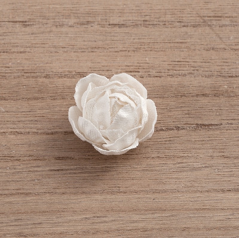 11039___20201.jpg