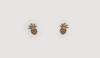 ΞΥΛΙΝΟΣ ΑΝΑΝΑΣ 1.9cm x 2.5cm 0519603