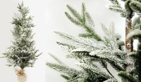 ΧΡΙΣΤΟΥΓΕΝΝΙΑΤΙΚΟ ΕΛΑΤΟ ΧΙΟΝΙΣΜΕΝΟ ST18-T081A 50x120cm 0530053