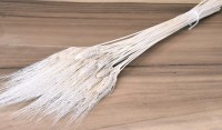 WHEAT BEARDED ΛΕΥΚΑΜΕΝΟ 150gr 120cm 0977630